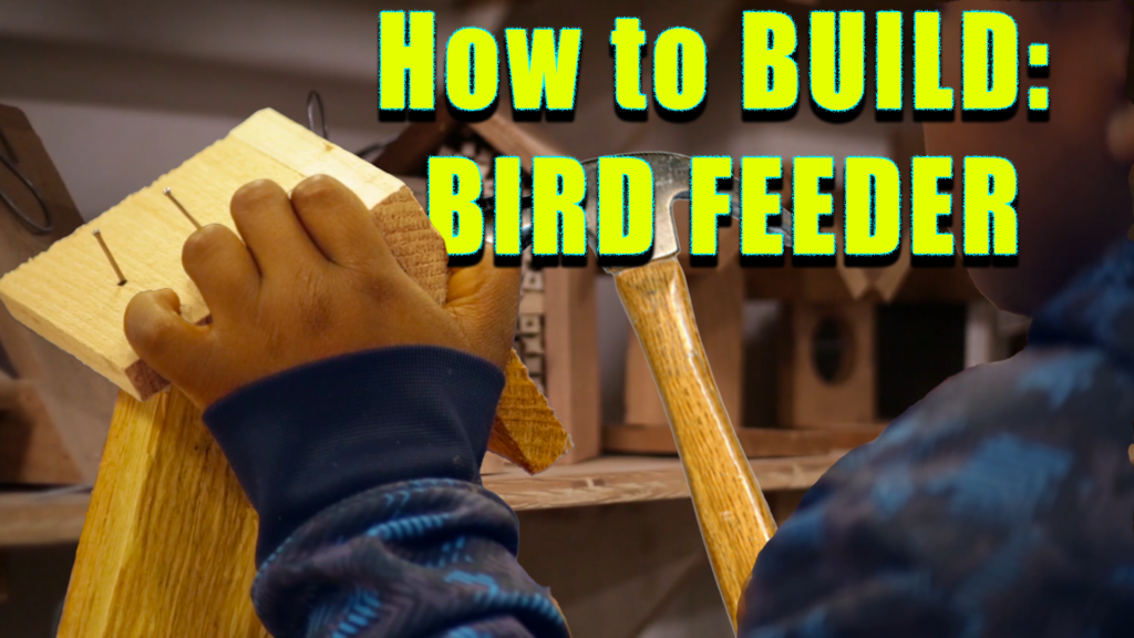 How to Build a Bird Feeder