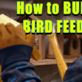 How to Build a Bird Feeder